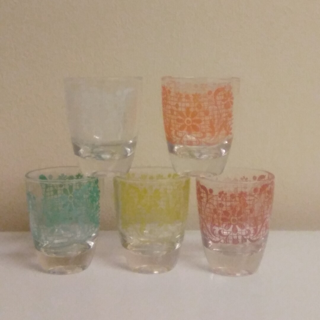 Vintage Shot Glasses Set of 5 French Glasses With Floral Etsy UK