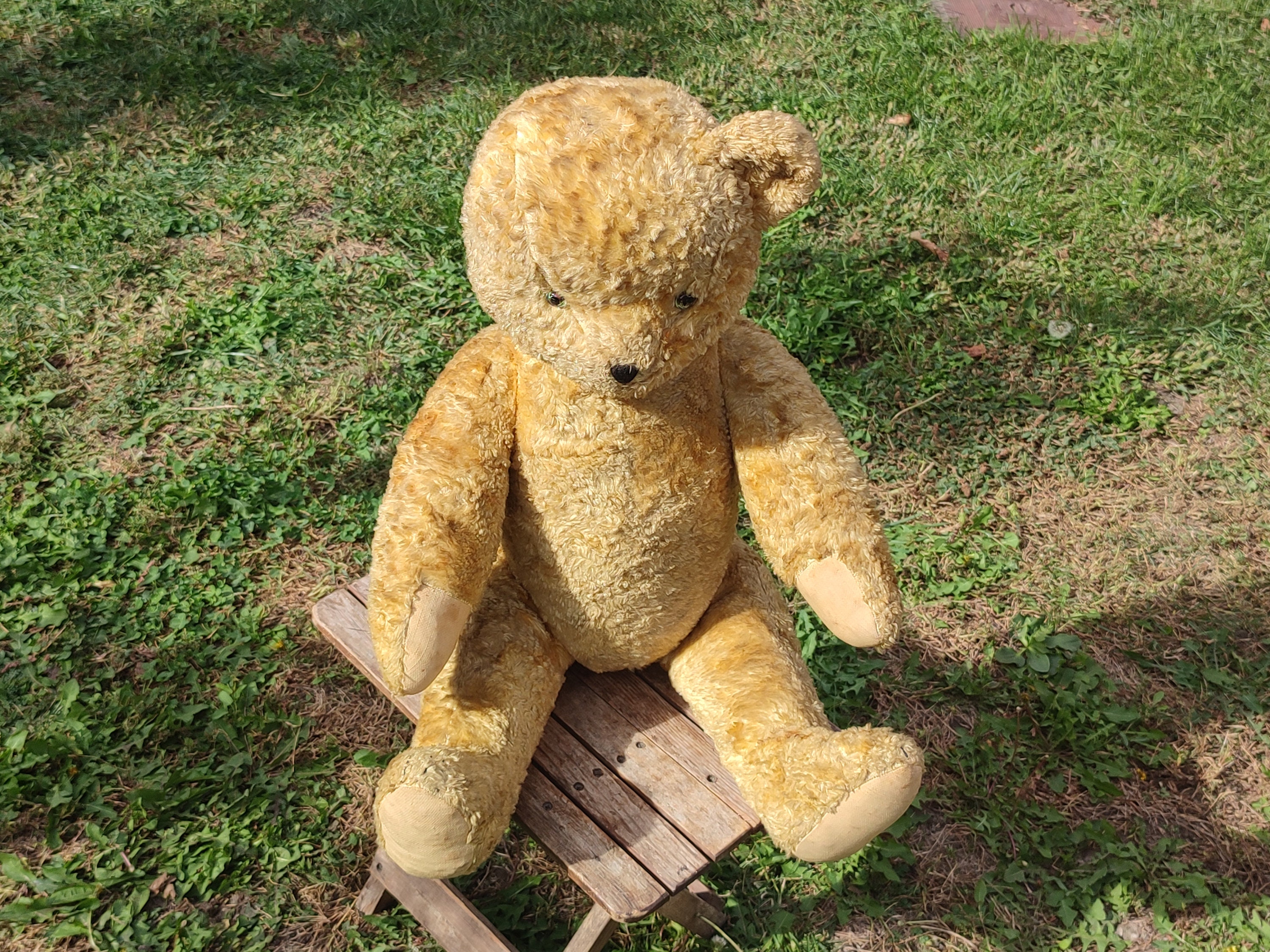 ぬいぐるみ antique teddy bear ZAHIR Antique Teddy Bear, 19.5 cm