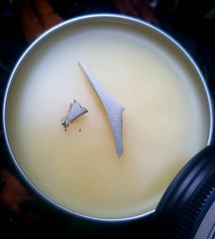 White Sage Salve (Salvia apiana) Organic — Three Sleeping Eyes