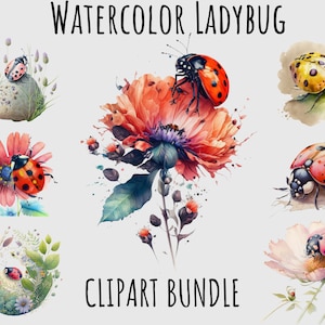 Clipart coccinella acquerello, insetti png, giardinaggio, primavera, insetto, download digitale stampabile coccinella bundle PNG, journaling, scrapbooking