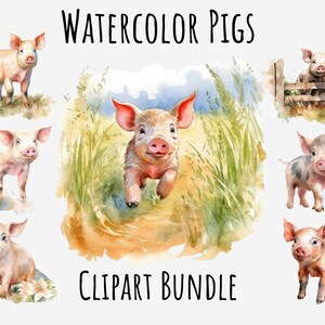 Watercolor Pig Clipart, Piglet, Farm Animal clipart, Wild animals, Cute animal, Small pig, Baby pig, pig png, logo, Instant Digital Download