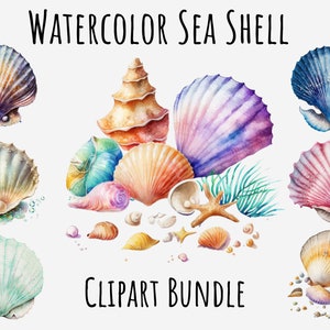 Clipart di conchiglie ad acquerello, conchiglia marina, conchiglia di lumaca, mare, vita marina download digitale stampabile, journaling, sublimazione