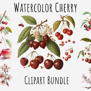 Watercolor Cherry PNG Clipart, Cherry blossom, Cherry tree, Cherry fruit, Printable Instant Digital Download, Free commercial use