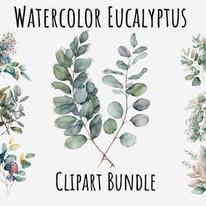 Watercolor Eucalyptus Clipart, Greenery, Wedding flowers png, Gardening, Eucalyptus png, leaves, bundle Printable Instant Digital Download