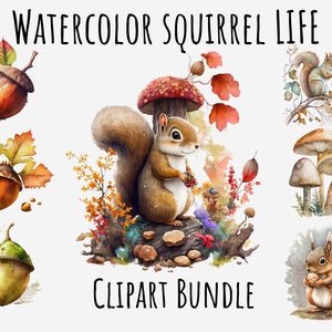 Watercolor Acorn Clipart, Squirrel Png, Forest Mushroom png bundle, Little acorn, cute clip art Printable Instant Digital Download