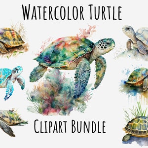 Aquarell Schildkröte Clipart, Meeresschildkröte png, Meeresschildkröte Bild Grafiken, Meerestiere, Baby Schildkröte druckbare digitaler Download, Sublimation