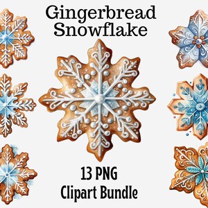 Watercolor Gingerbread Snowflake clipart, Winter holidays, Baking, Cookie clipart, Christmas card Transparent png, Printable, Sublimation