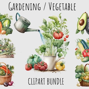 Watercolor Gardening Vegetable clipart PNG, Tomato Avocado Carrot Clipart Botanical Healthy Organic, Printable digital download, Sublimation