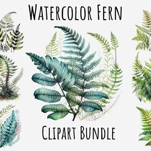 Clipart de fougère aquarelle, verdure, bundle png botanique, forêt, plantes, feuilles vertes imprimable téléchargement numérique instantané, sublimation