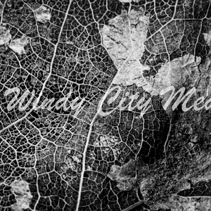 May include: A close-up black and white photograph of a leaf's veins. The leaf is dry and brittle, with a delicate network of veins visible. The image is in focus, with the veins sharply defined.
