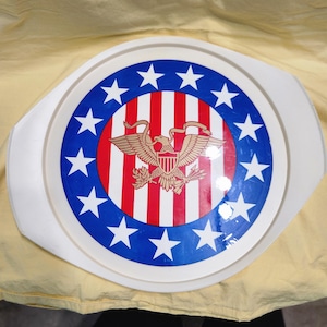 Vintage Rubbermaid Party Plan Bicentennial Tray 1976 Red White Blue Stars Stripes American Eagle