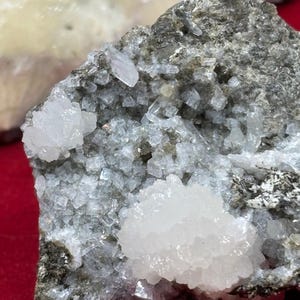 以下が含まれることがあります： グレーの岩石マトリックスに白い結晶の塊が特徴的な鉱物標本のクローズアップ。結晶はキラキラとした質感で、より粗い岩の表面とは対照的です。