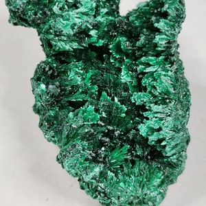 Atacamit Crystal AAA Quality Price is 1 piece each Collector Decoration Gift Rarity Copper Museum Children Fossils Minerals Collection Display Case