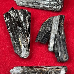 May include: Four black and silver tourmaline crystals on a red background. The crystals are raw and have a striated texture.