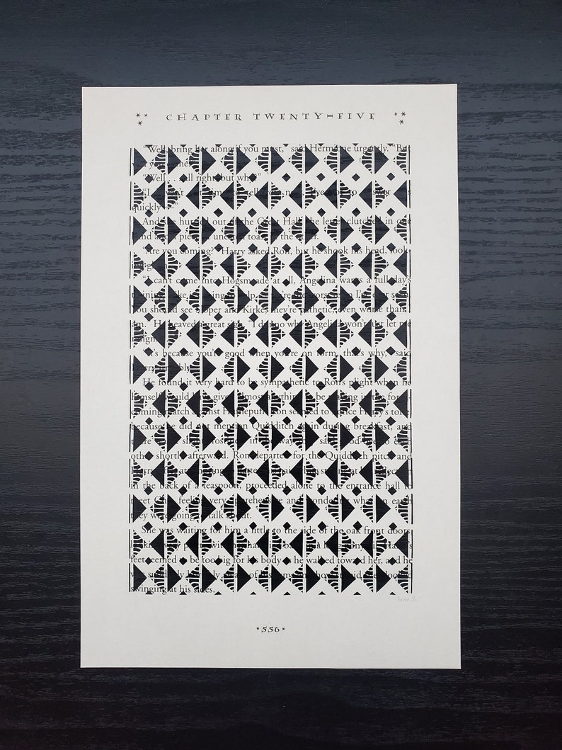 Harry Potter Book Page Lattice