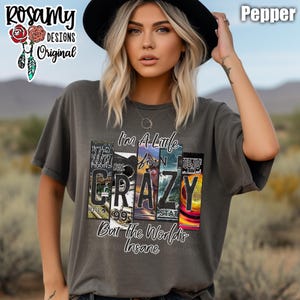 May include: A dark grey t-shirt with the slogan "I'm A Little Crazy But the World's Insane" printed on the front. The design incorporates a license plate motif in various colours. The shirt has a crew neck and short sleeves.
