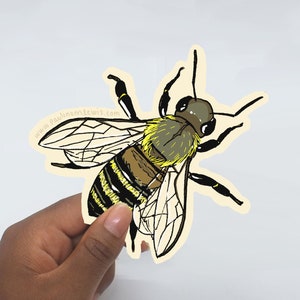 Volledige bijensticker: milieuvriendelijke stickers