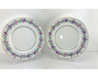 ROYAL WORCESTER "Elysian" Dinner Plates 10.5" - Made in England Set of 2 Plates