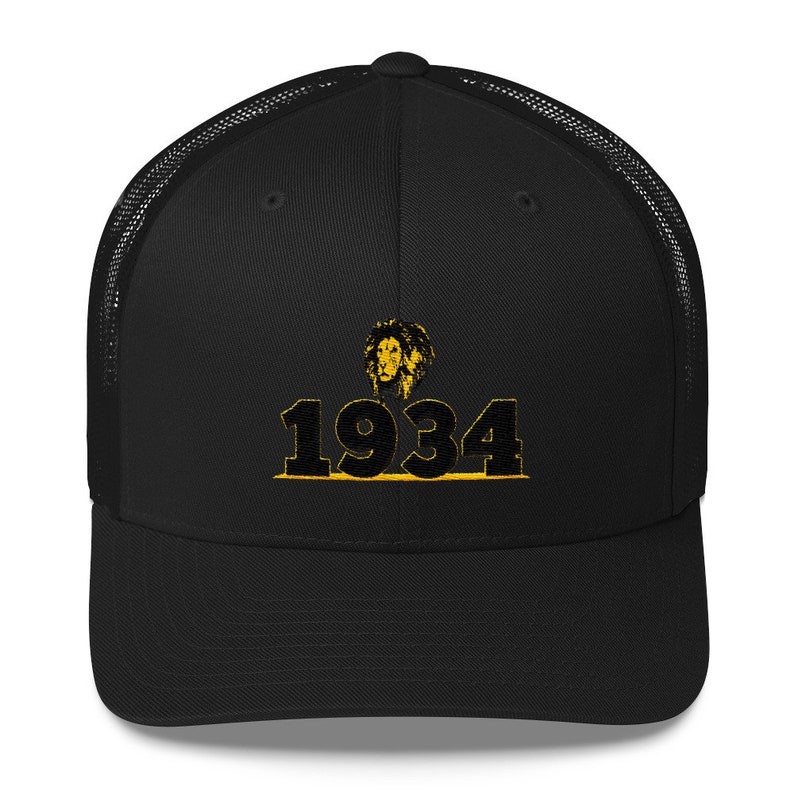 detroit lions 1934 hat