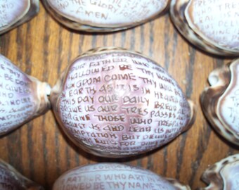 Carved Cowrie Shell Etsy