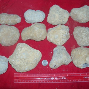 13.75 pounds lb of break crack your own large giant Moroccan geodes. 15 Geodes