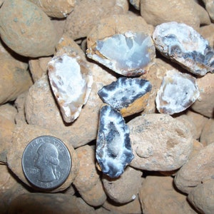 1 pound lb of break crack your own agate Oco geodes. About  8 to 10 per lot. Solid  to hallow.