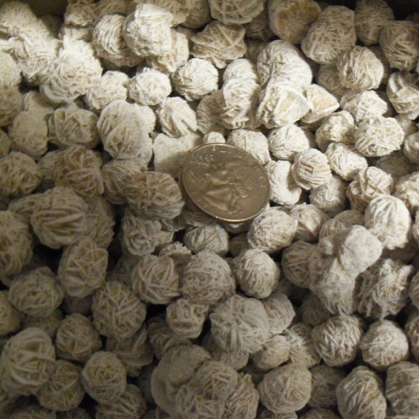 Desert Rose Selenite. 1/4 pound lb per lot. About 45 to 50 per lot per lot. Small size