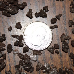 1 real Campo Del Cielo Meteorite per lot