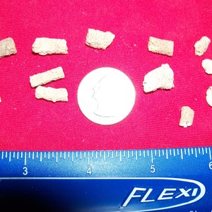 Less than 1/2 inch. 1 Fulgurite Petrified Lightning per lot. Are created when lightning strikes sand.
