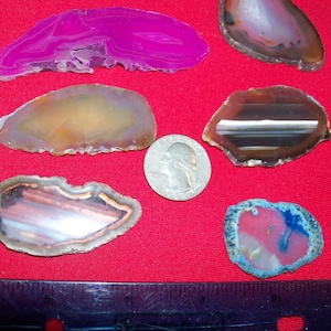 May include: Assortment of agate slices in various colors and patterns, including pink, brown, blue, and white. The agate slices are arranged on a red surface with a silver dollar for scale.