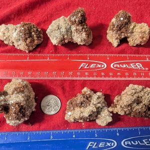 May include: Six brown and white crystal clusters of various sizes. The crystals are arranged on a red surface with a ruler for scale.
