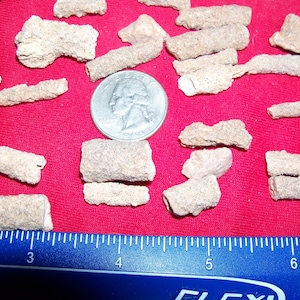 1/2 to 1 inch Fulgurite Petrified Lightning. 1 per lot. Are created when lightning strikes sand.