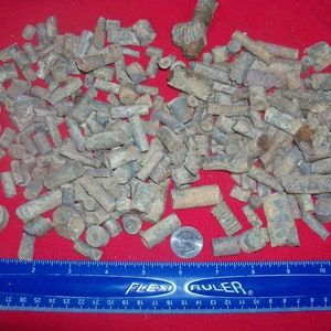 1 pound lbs of real fossil crinoid stems per lot. About 120 crinoid stems per lot. 359 to 416 million years old