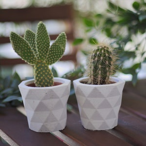 Succulent planter geometric / Concrete indoor planter image 2