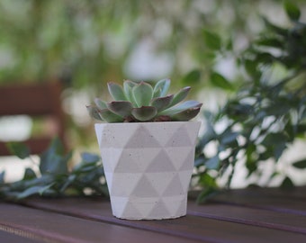 Succulent planter geometric /  Concrete indoor planter