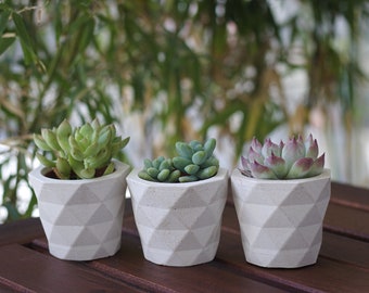 Set of 3 Succulents planters  /  Concrete indoor planters / Geometric pattern planters