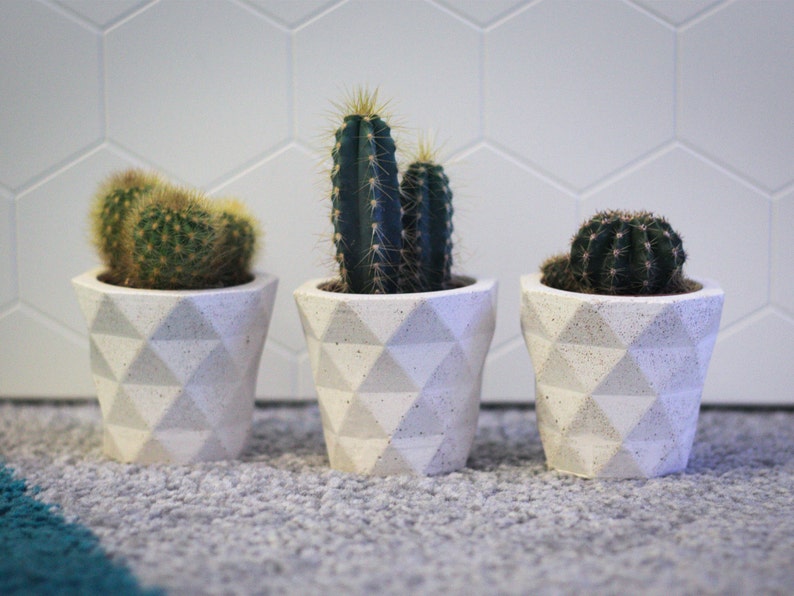 Succulent planter geometric / Concrete indoor planter image 10