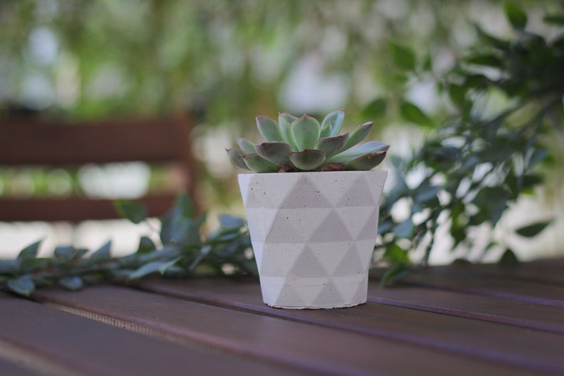 Succulent planter geometric / Concrete indoor planter image 1