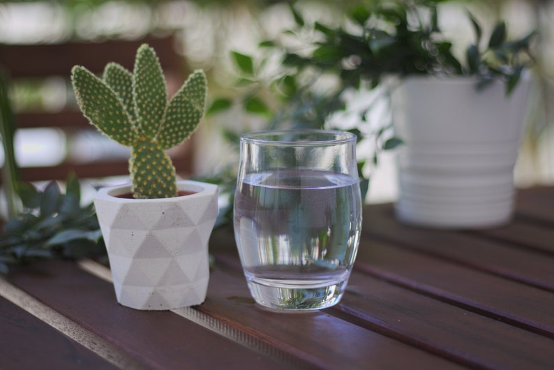 Succulent planter geometric / Concrete indoor planter image 3