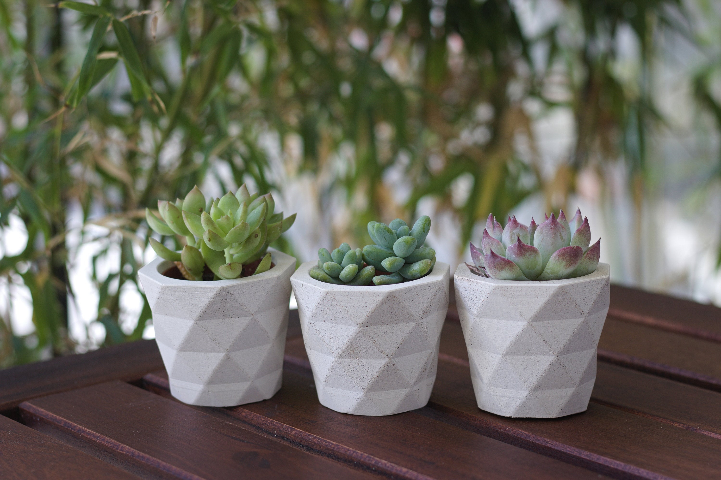 Lot de 3 Pots à Fleurs en Béton/Pot Plante Pour Cactus et Succulentes