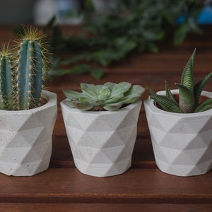 Succulent planter geometric / Concrete indoor planter image 7