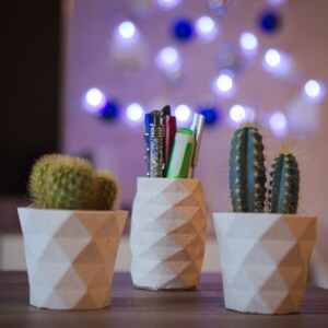 Succulent planter geometric / Concrete indoor planter image 9