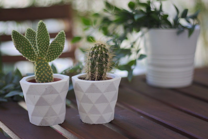 Succulent planter geometric / Concrete indoor planter image 2