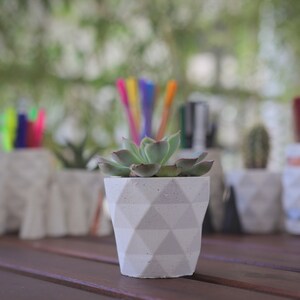 Succulent planter geometric / Concrete indoor planter image 6