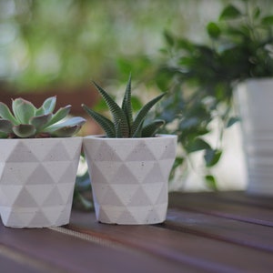 Succulent planter geometric / Concrete indoor planter image 5