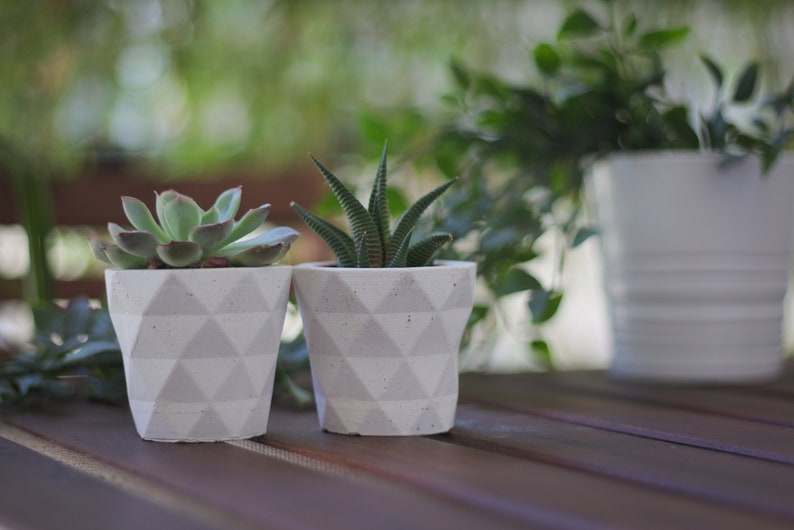 Succulent planter geometric / Concrete indoor planter image 5