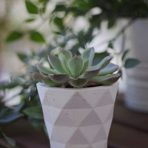 Succulent planter geometric / Concrete indoor planter image 4
