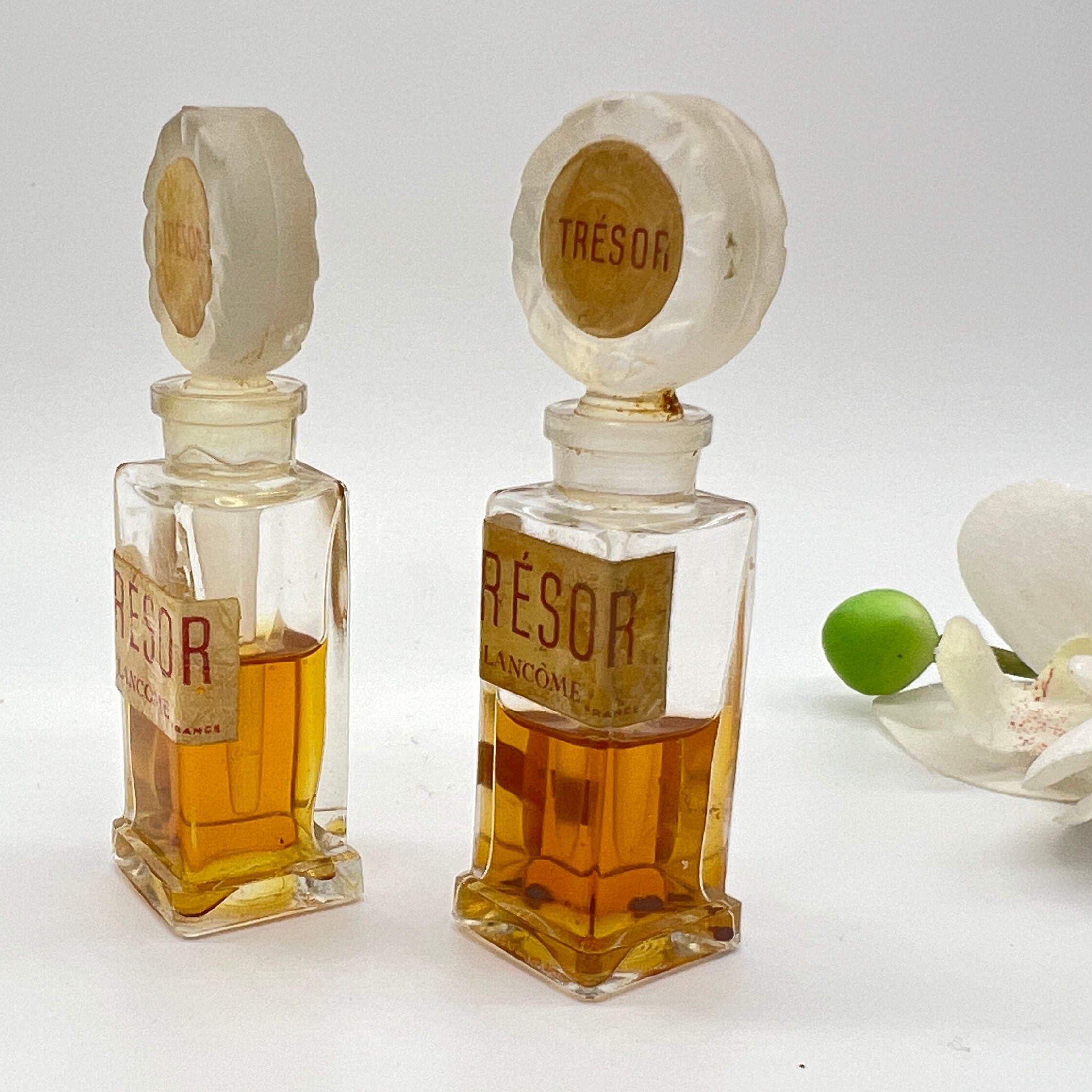 Buy Tresor Paris Online In India Etsy India
