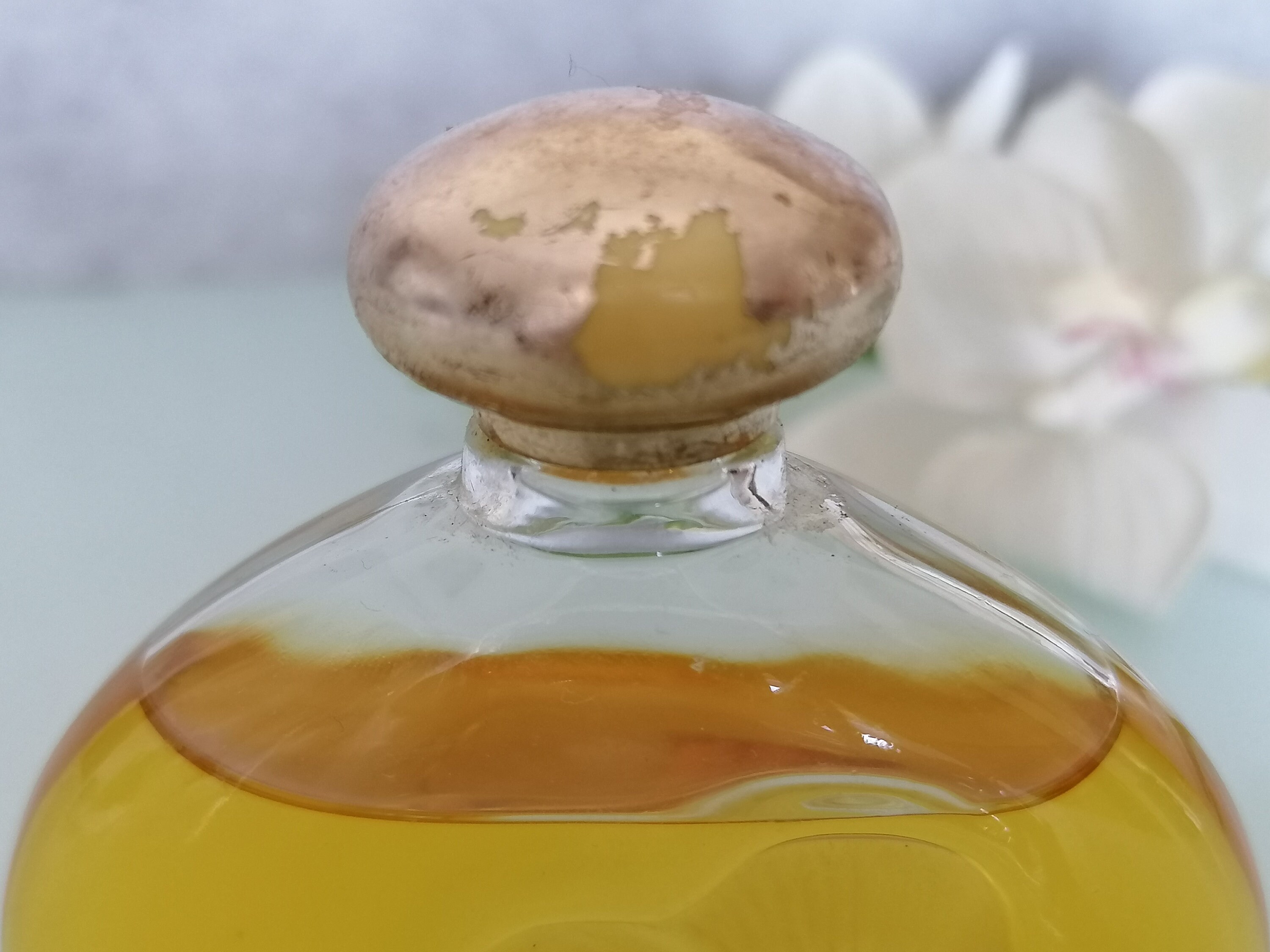 フルール ド フルール ニナ リッチ、パルファム ドゥ トワレ 50ml/1.7