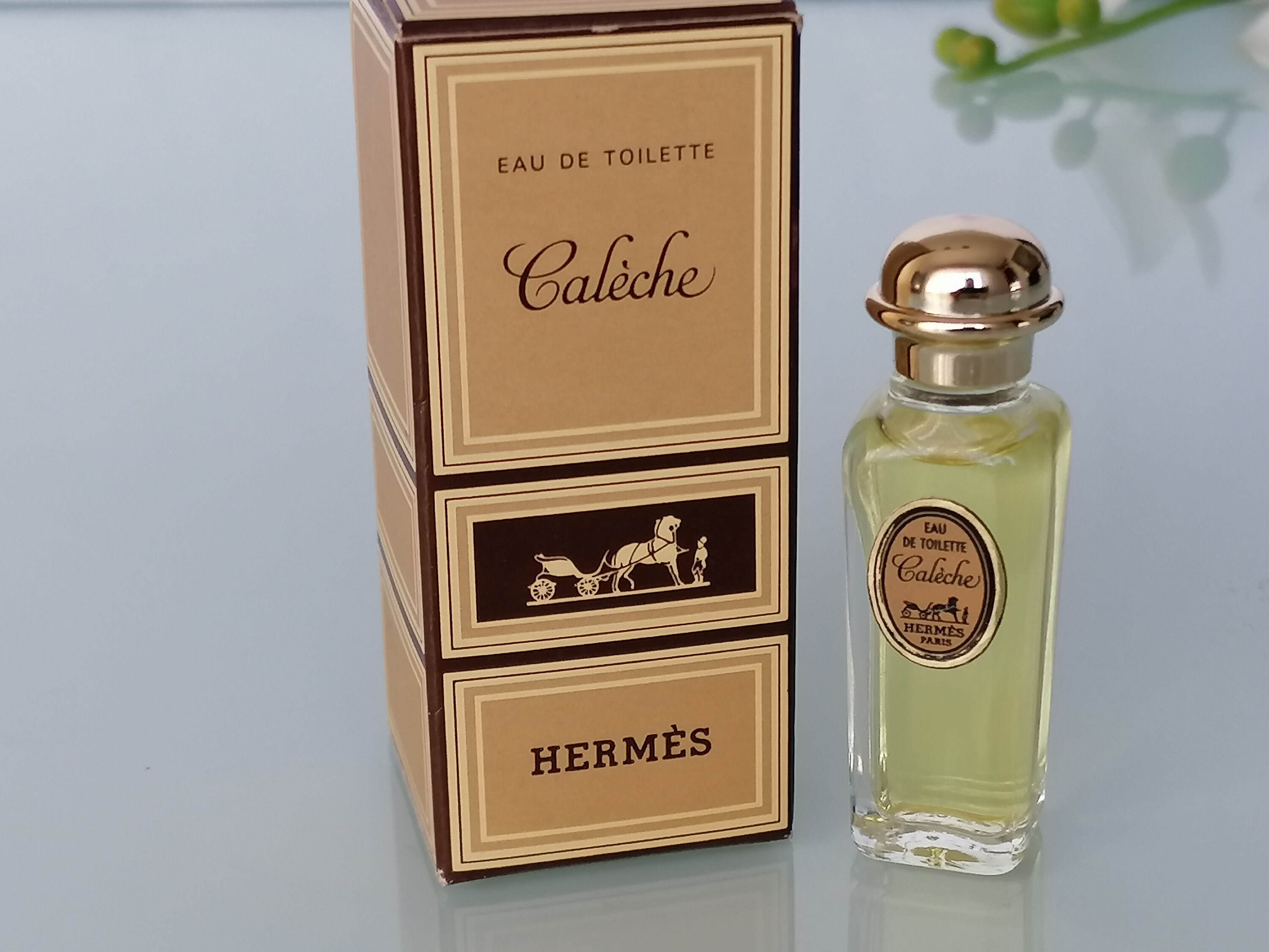 Caleche by Hermes 1961 Eau de Toilette 75 ml/025 fl.oz | Etsy